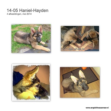 Mooie foto's van Hayden in de maand mei